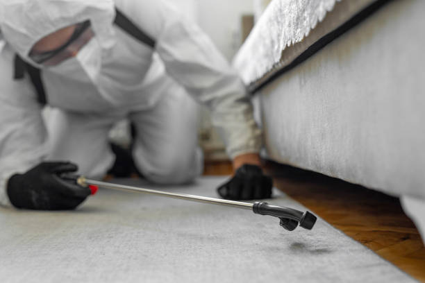 Professional Termite Control technician working in Wells, NV