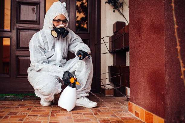 Reliable Termite Control contractor in Wells, NV by Nex Pest Control